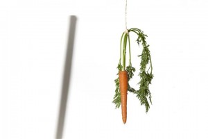 carrot stick (Small)